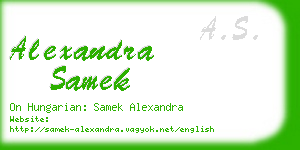 alexandra samek business card